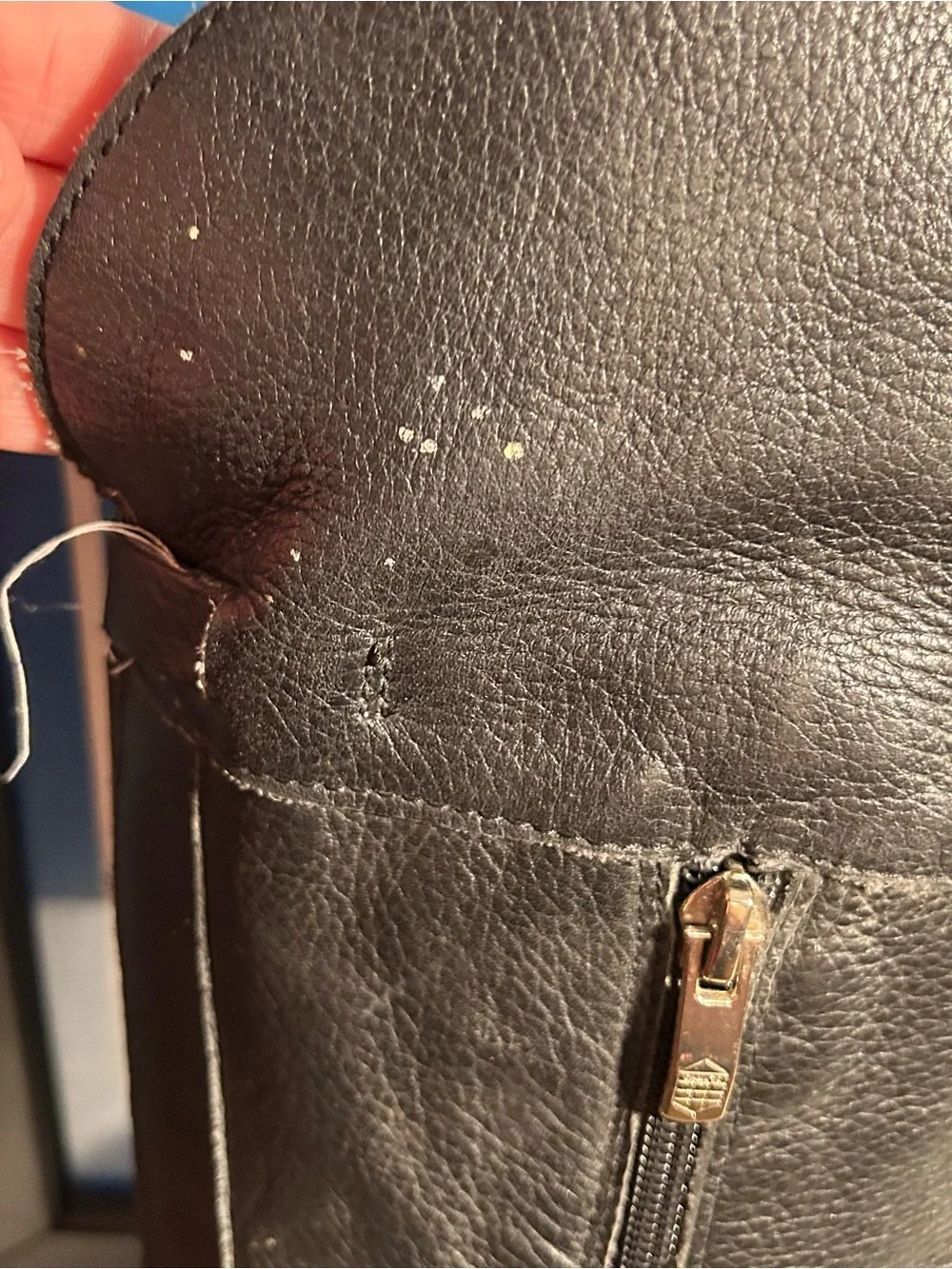 Vince Camuto Bocca Leather Zip Up boots